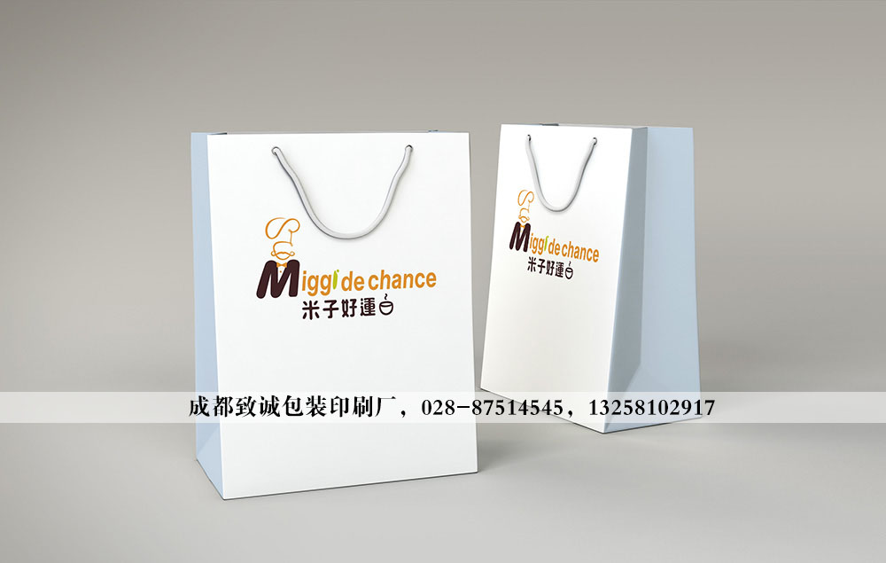 簡(jiǎn)餐外賣手提袋