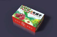 車?yán)遄影b盒定制，從視覺(jué)上增強(qiáng)產(chǎn)品的儀式感